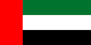 Birleşik Arap Emirlik Sanal Numara